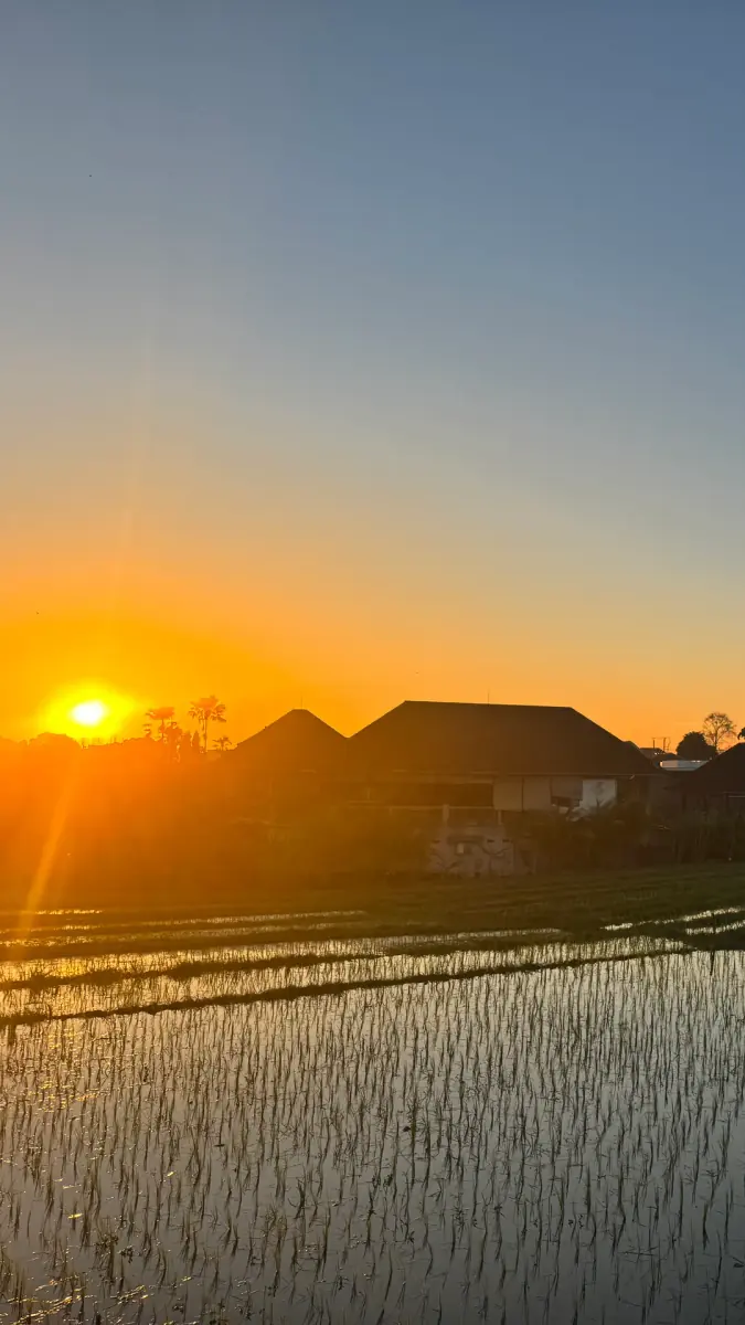 Sunrise over flooded rice terraces in Bali